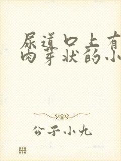 尿道口上有一圈肉芽状的小肉体