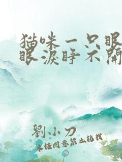 猫咪一只眼睛流眼泪睁不开