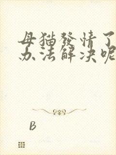 母猫发情了有啥办法解决呢