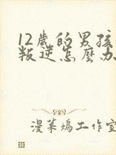 12岁的男孩很叛逆怎么办