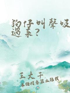 狗仔叫声吸引狗过来?