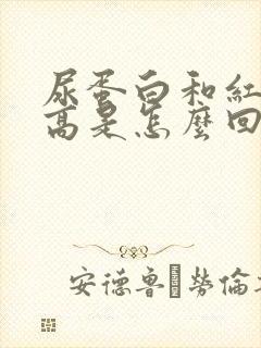 尿蛋白和红细胞高是怎么回事