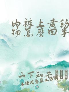 内裤上黄的分泌物怎么回事