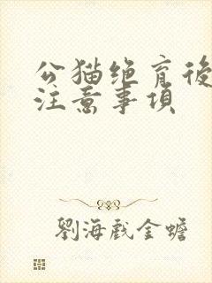 公猫绝育后饮食注意事项