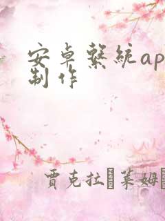 安卓系统app制作