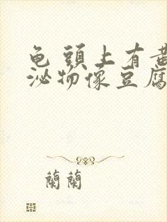 龟 头上有黄分泌物像豆腐渣一样