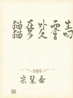 猫在外面生了小猫多久会叼回来