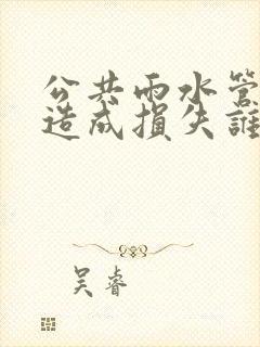 公共雨水管漏水造成损失谁负责赔偿