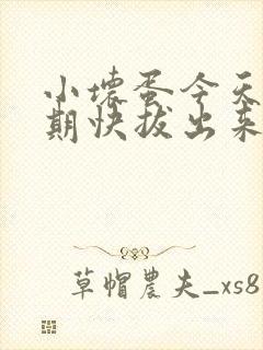 小坏蛋今天危险期快拔出来