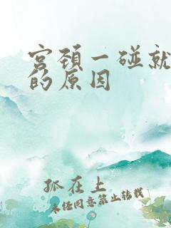 宫颈一碰就出血的原因