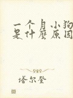 一个月小狗发抖是什么原因