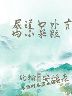 尿道口外有个小肉小米粒