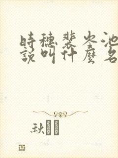 时穗裴岑池夏小说叫什么名字