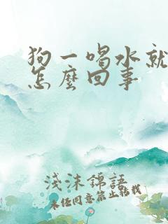 狗一喝水就吐是怎么回事