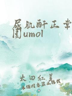 尿肌酐正常值范围umol