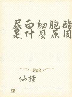 尿白细胞酯酶+是什么原因