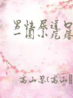 男性尿道口长了一圈小疙瘩