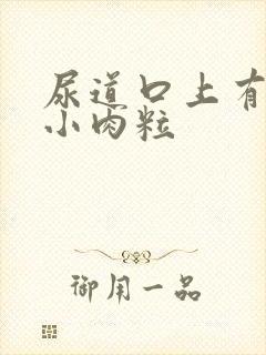 尿道口上有白色小肉粒