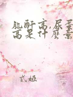 肌酐高,尿蛋白高是什么意思