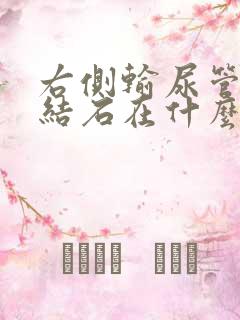 右侧输尿管盆段结石在什么位置