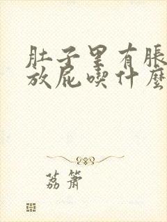 肚子里有胀气总放屁吃什么药呢