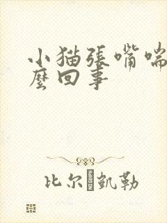 小猫张嘴喘气怎么回事