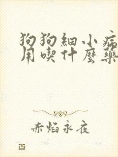 狗狗细小病毒能用吃什么药能治