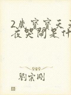 2岁宝宝天天半夜哭闹是什么原因