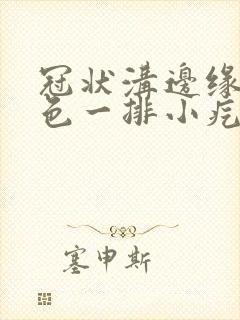 冠状沟边缘长肉色一排小疙瘩