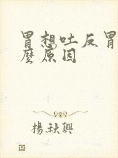 胃想吐反胃是什么原因