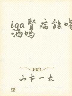 iga肾病能喝酒吗