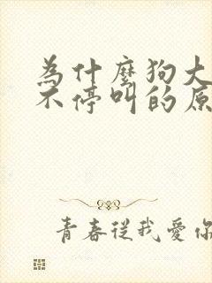 为什么狗大半夜不停叫的原因