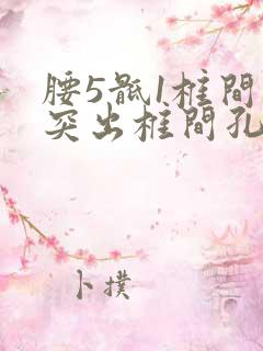 腰5骶1椎间盘突出椎间孔镜手术