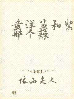 黄洋葱和紫洋葱哪个辣