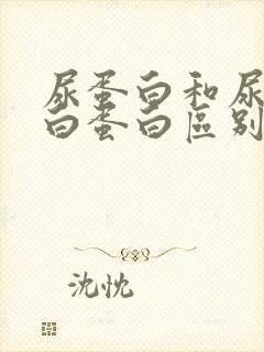 尿蛋白和尿微量白蛋白区别