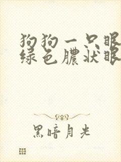 狗狗一只眼睛有绿色脓状眼屎是怎么了