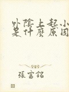 外阴上起小颗粒是什么原因