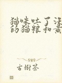 猫咪吐了没消化的猫粮和黄水但是精神很好