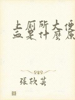 上厕所大便时出血是什么原因