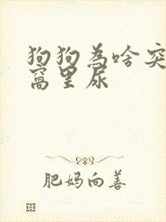 狗狗为啥突然在窝里尿