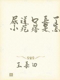 尿道口长了一圈小疙瘩是怎么回事