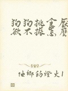 狗狗挑食厌食食欲不振怎么办