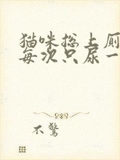 猫咪总上厕所,每次只尿一点