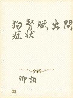 狗肾脏出问题的症状