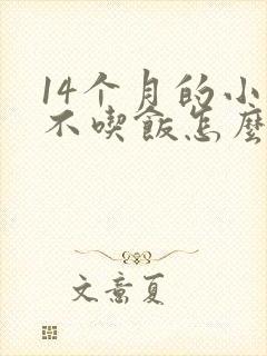 14个月的小孩不吃饭怎么办