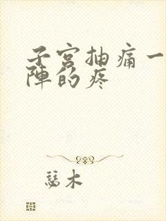 子宫抽痛一阵一阵的疼