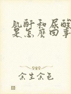 肌酐和尿酸升高是怎么回事?