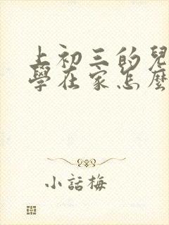 上初三的儿子厌学在家怎么办