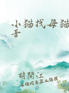 小猫找母猫的声音