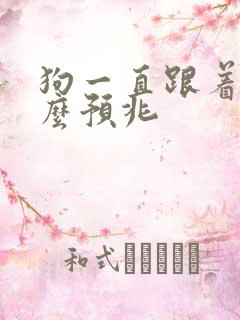 狗一直跟着我什么预兆